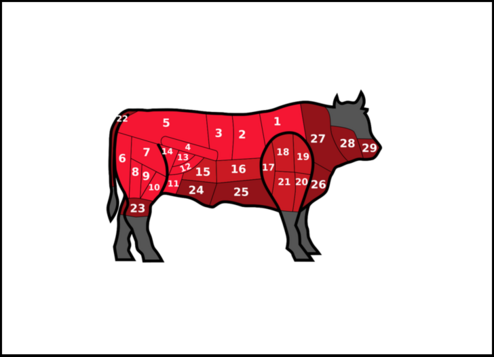 Different parts of beef meat