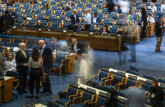 Photo by IISD/ENB | Danny Skilton